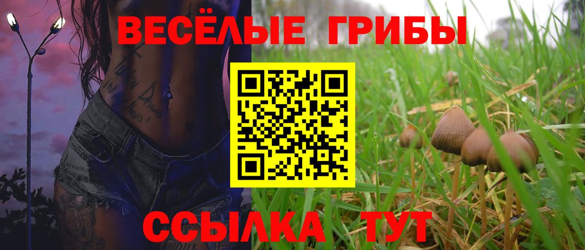 Галлюциногенные грибы Psilocybine cubensis Сибай
